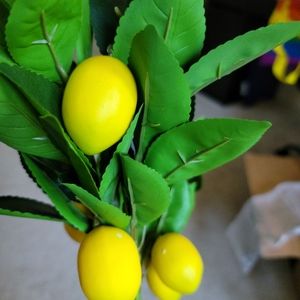 Lemon with greenery decor